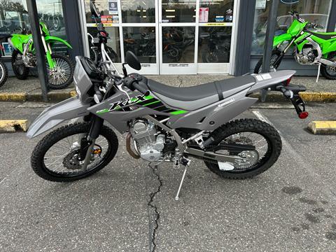 2024 Kawasaki KLX 230 S ABS in Bellingham, Washington - Photo 1