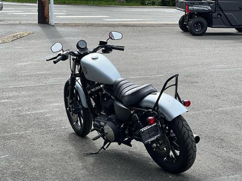 2020 Harley-Davidson Iron 883™ in Bellingham, Washington - Photo 7