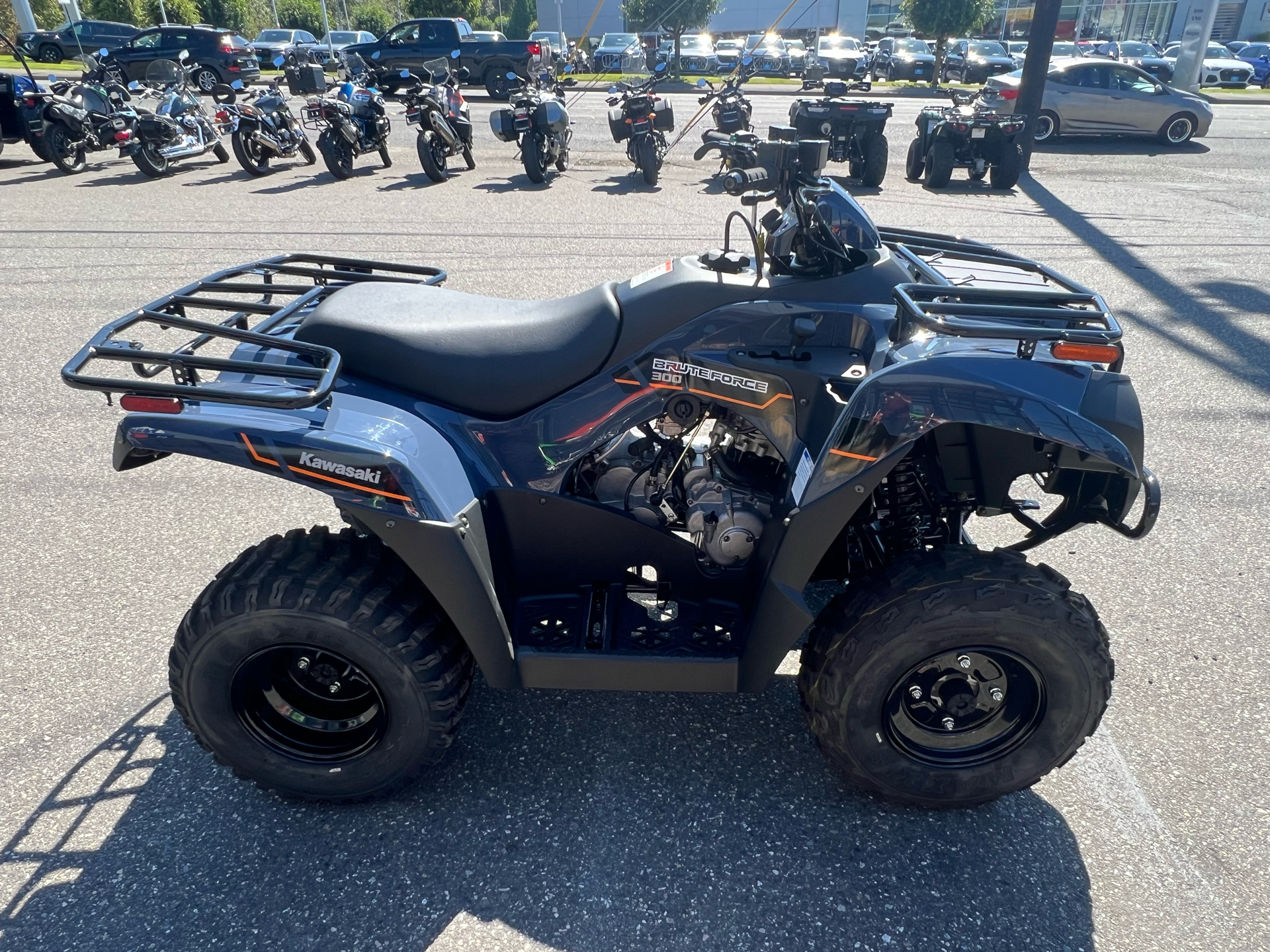 2025 Kawasaki Brute Force 300 in Bellingham, Washington - Photo 6