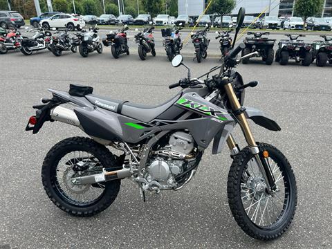 2025 Kawasaki KLX 300 in Bellingham, Washington - Photo 3