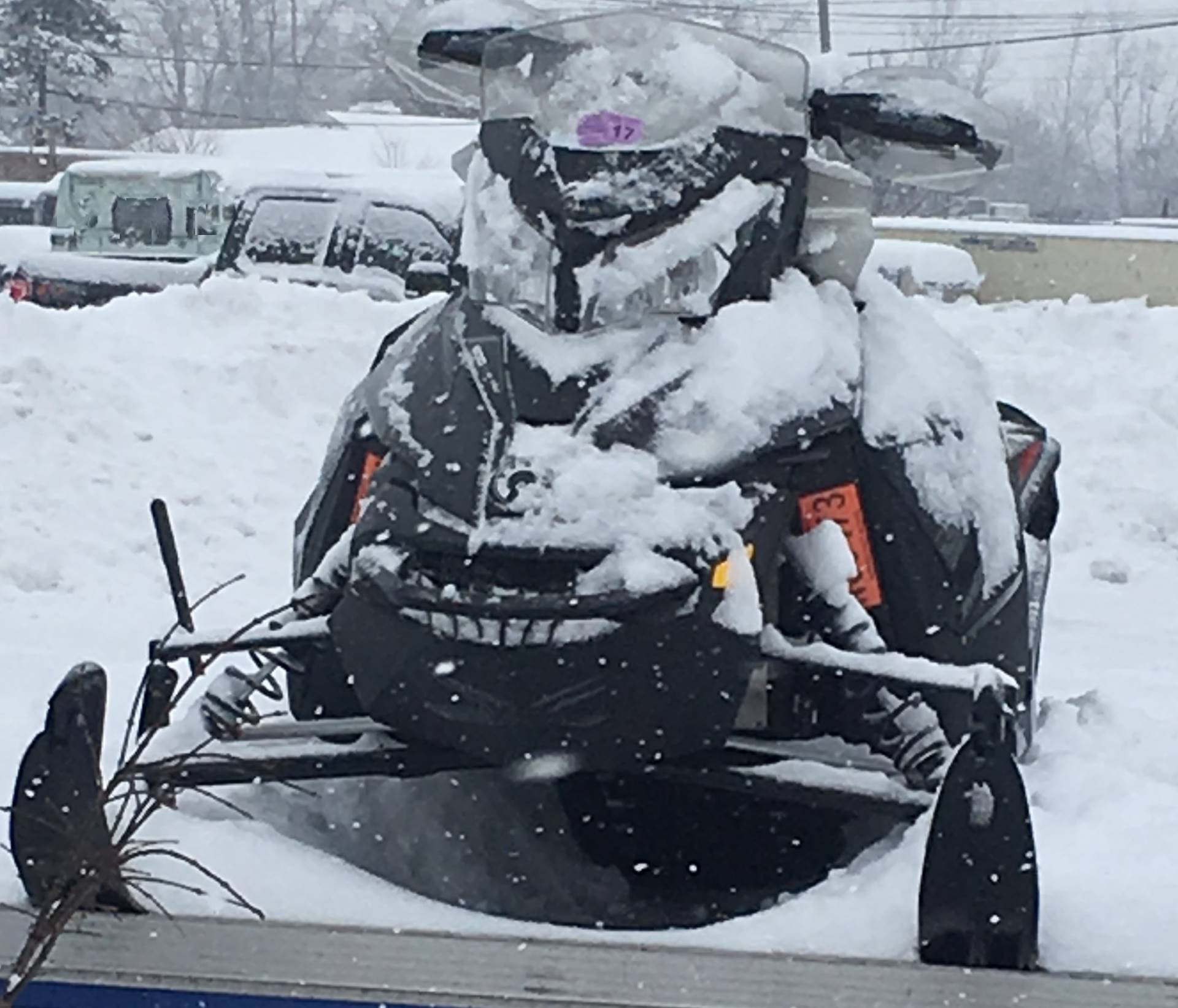2016 Ski-Doo MXZ X 600 in Clinton Township, Michigan - Photo 1