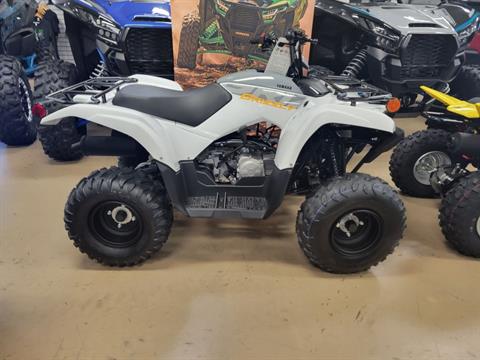 2024 Yamaha Grizzly 90 in Unionville, Virginia - Photo 1