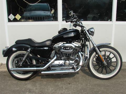2006 Harley-Davidson XL 1200 Sportster Low in Williamstown, New Jersey - Photo 1