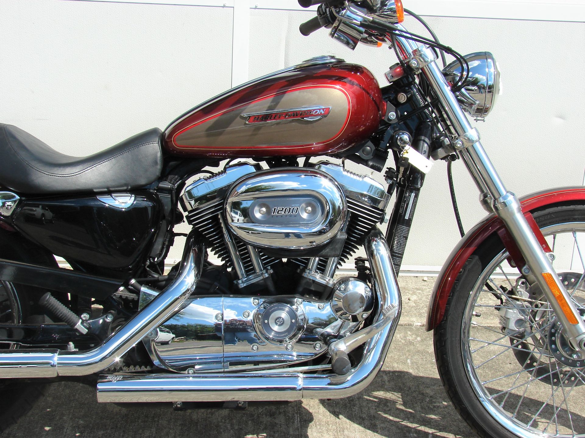 2009 Harley-Davidson XL 1200 Sportster Custom in Williamstown, New Jersey - Photo 2