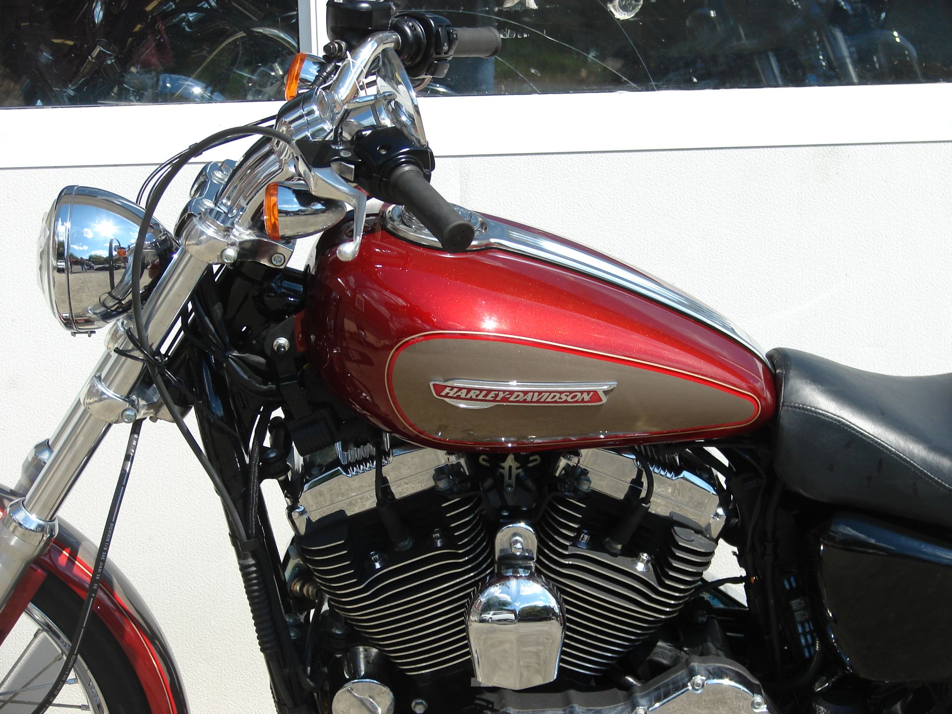 2009 Harley-Davidson XL 1200 Sportster Custom in Williamstown, New Jersey - Photo 8