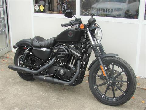 2019 Harley-Davidson XL 883N Iron Nightster Sportster in Williamstown, New Jersey - Photo 3