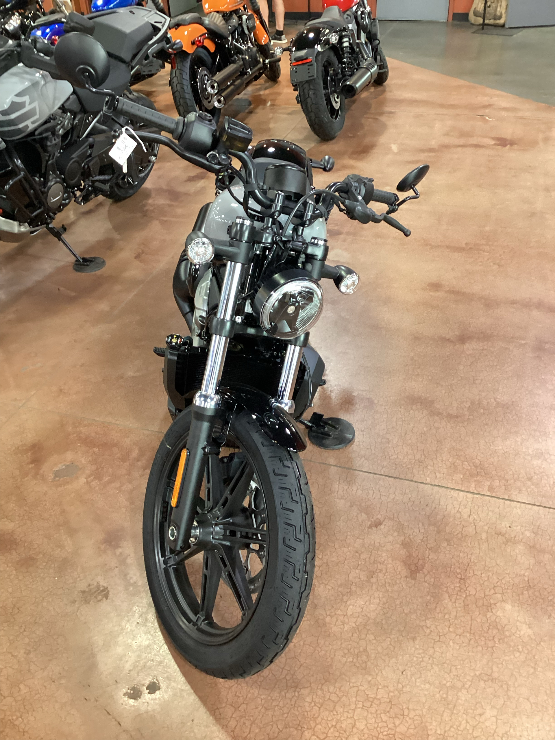 2024 Harley-Davidson Nightster® in Cedar Rapids, Iowa - Photo 2