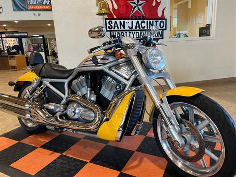 2006 Harley-Davidson Street Rod™ in Pasadena, Texas - Photo 2