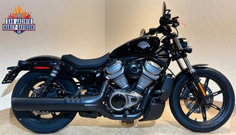 2024 Harley-Davidson Nightster® in Pasadena, Texas - Photo 1