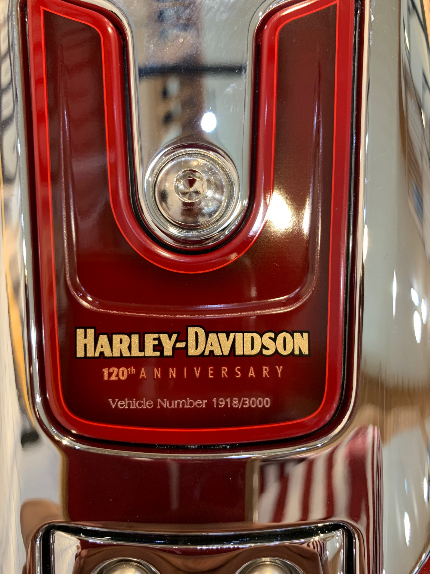 2023 Harley-Davidson Fat Boy® Anniversary in Houston, Texas - Photo 7