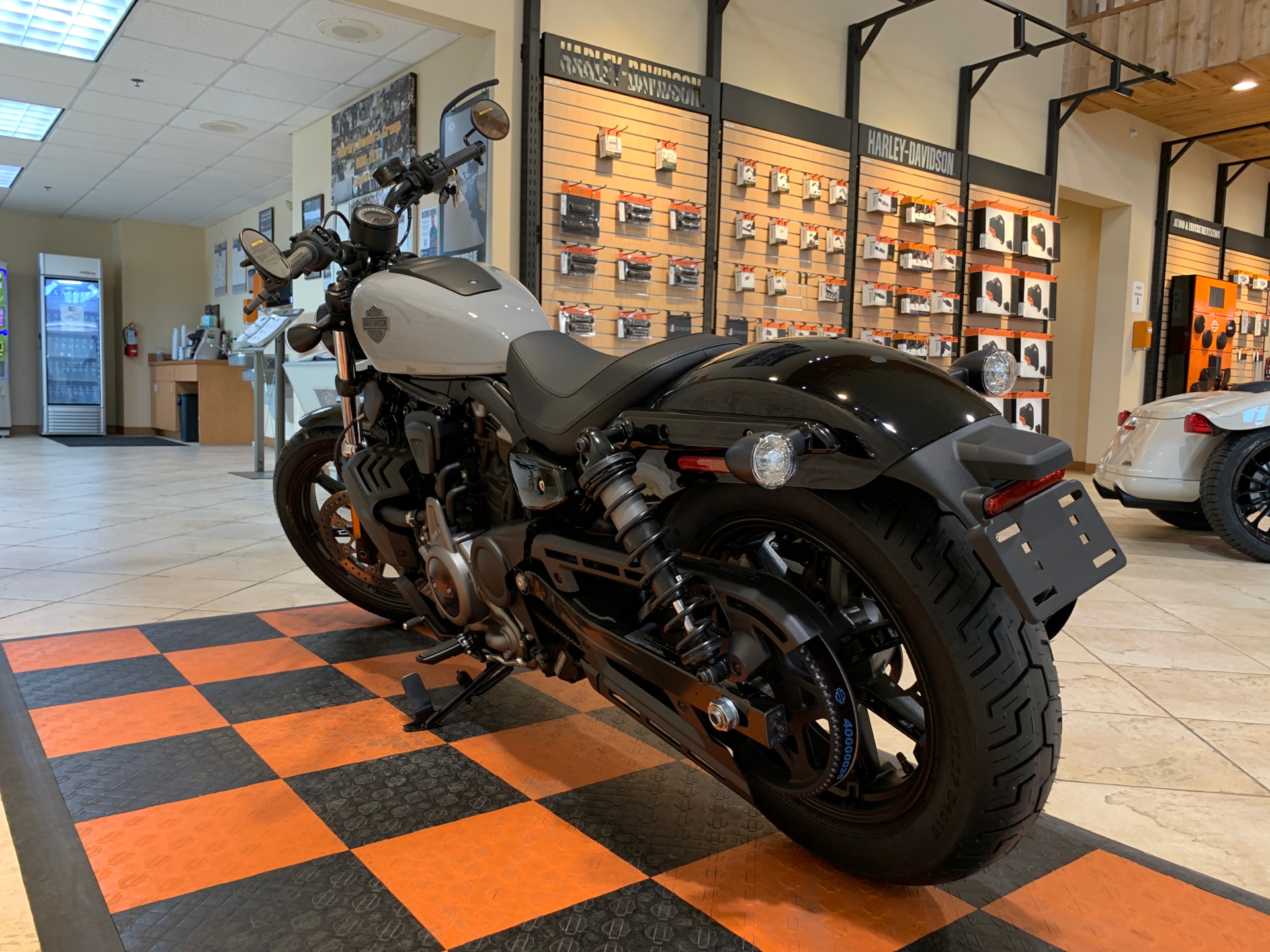 2024 Harley-Davidson Nightster® in Houston, Texas - Photo 5