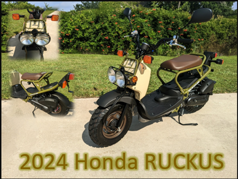 2024 Honda Ruckus in Houston, Texas - Photo 1