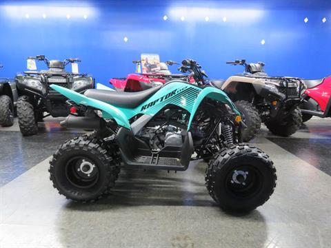 2025 Yamaha Raptor 110 in Moline, Illinois - Photo 1