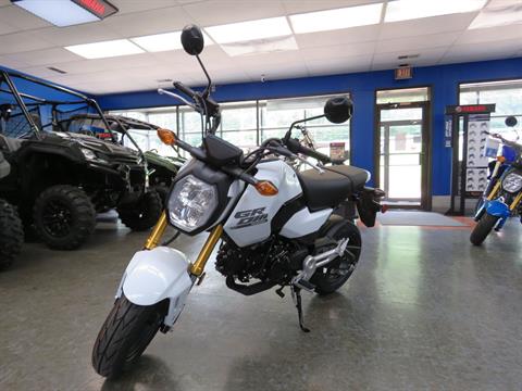 2025 Honda Grom in Moline, Illinois - Photo 2