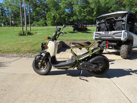 2024 Honda Ruckus in Moline, Illinois - Photo 1