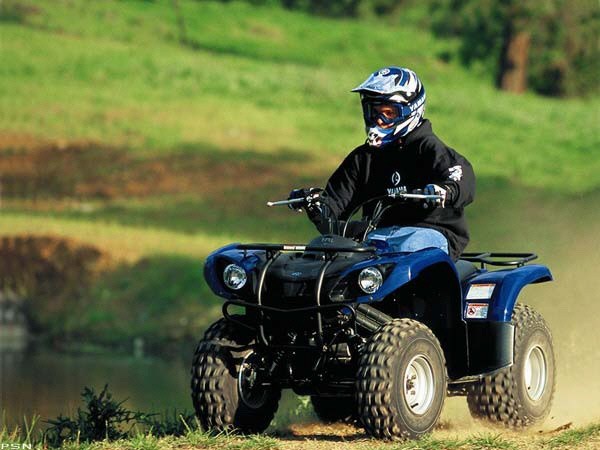 2007 Yamaha Grizzly 125 Automatic in Honesdale, Pennsylvania