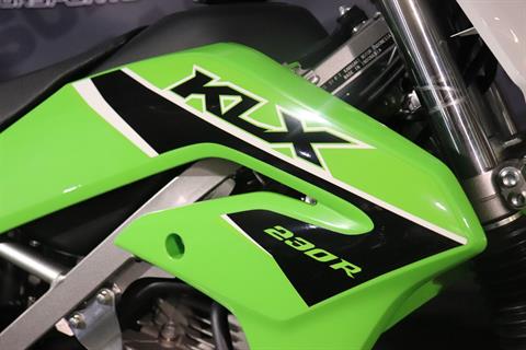2023 Kawasaki KLX 230R in Vincentown, New Jersey - Photo 3
