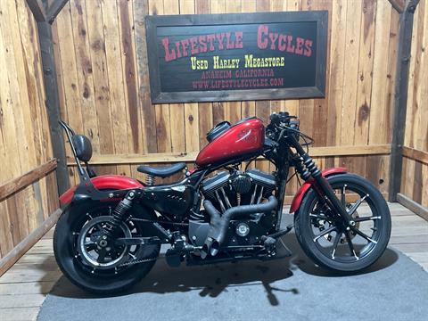 2019 Harley-Davidson Iron 883™ in Anaheim, California