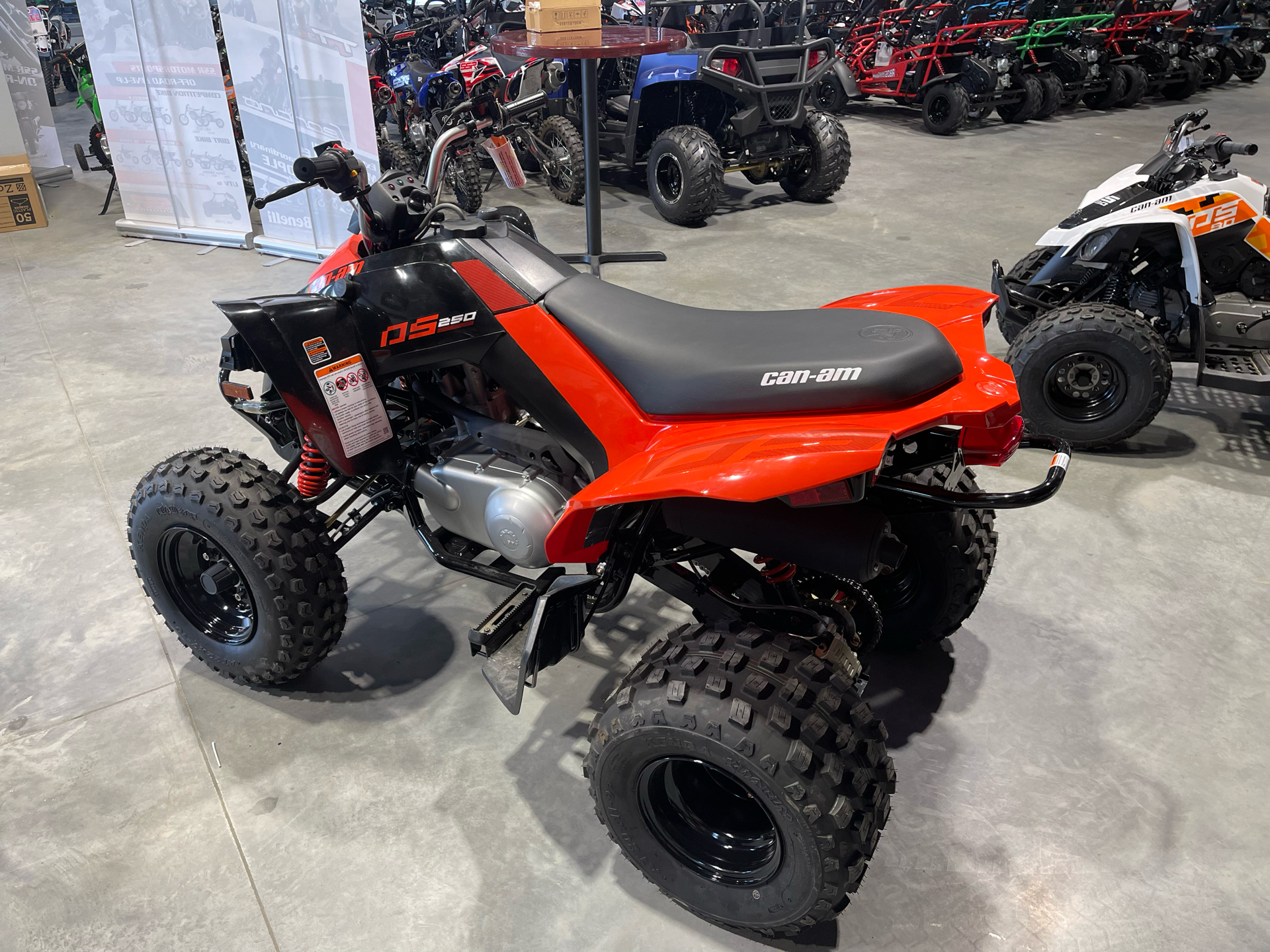 2022 Can-Am DS 250 in Tifton, Georgia - Photo 2