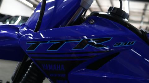 2024 Yamaha TT-R230 in Grimes, Iowa - Photo 15