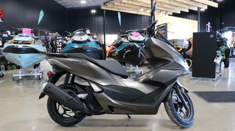 2024 Honda PCX in Ames, Iowa - Photo 1