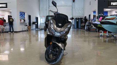 2024 Honda PCX in Ames, Iowa - Photo 3