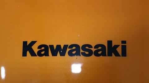 2024 Kawasaki Eliminator SE ABS in Ames, Iowa - Photo 13