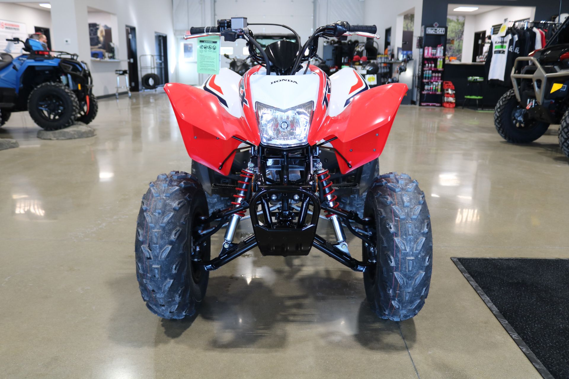 2024 Honda TRX250X in Ames, Iowa - Photo 3