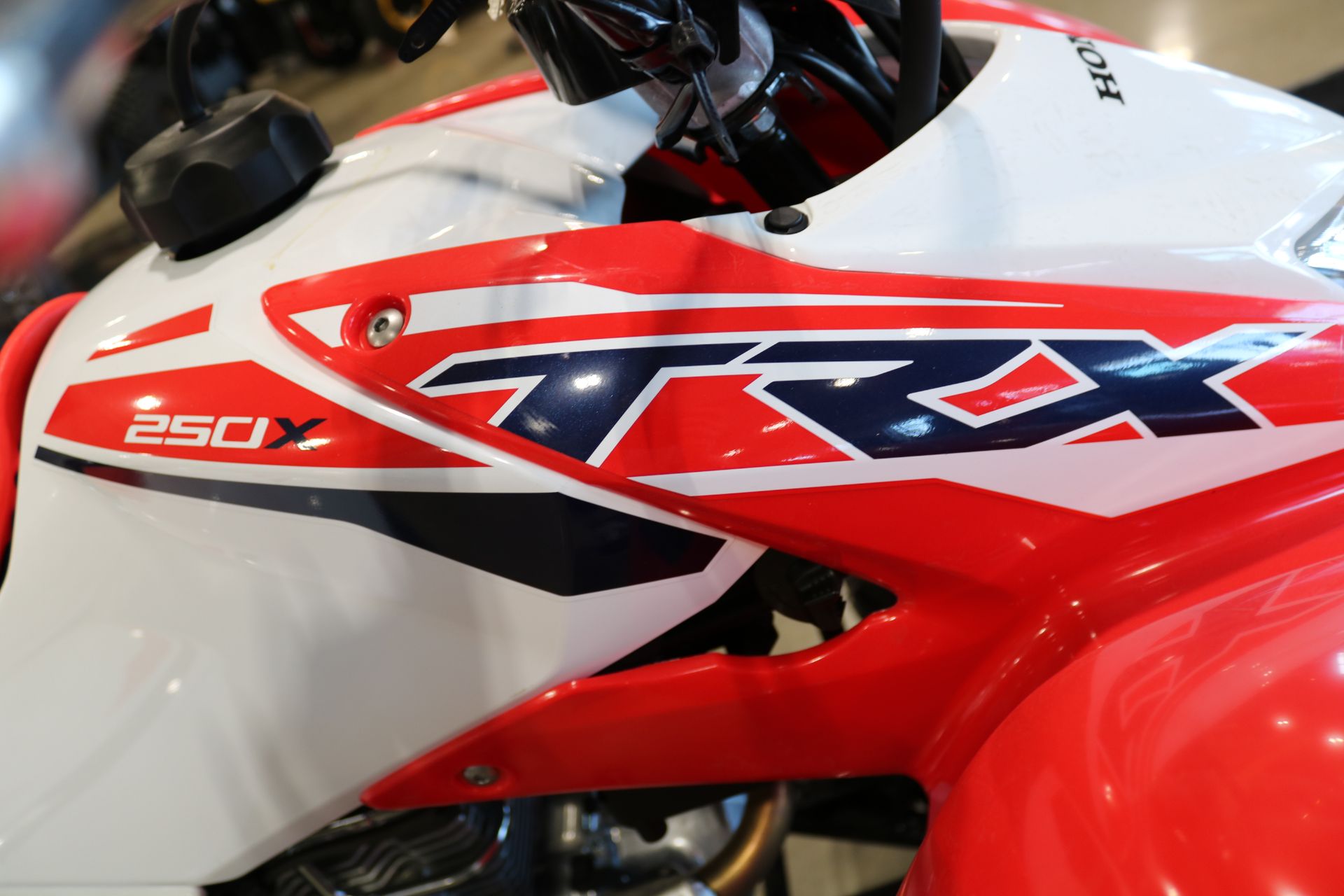 2024 Honda TRX250X in Ames, Iowa - Photo 14