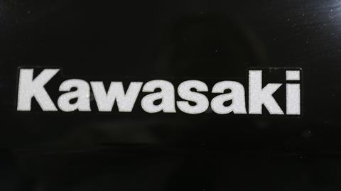 2025 Kawasaki Teryx4 in Ames, Iowa - Photo 13