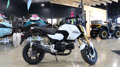 2025 Honda Grom in Ames, Iowa - Photo 1