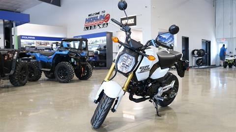 2025 Honda Grom in Ames, Iowa - Photo 4