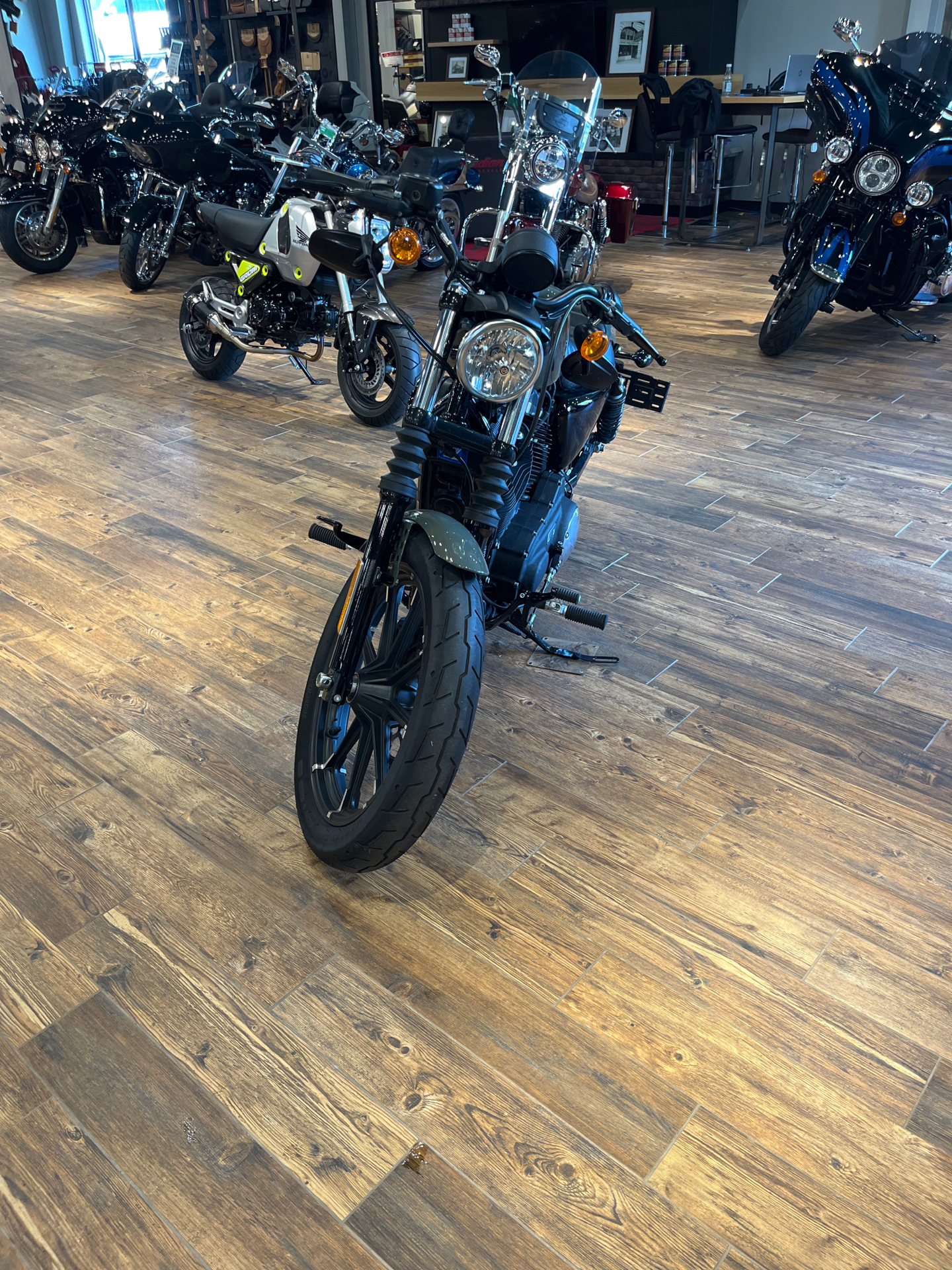 2021 Harley-Davidson Iron 883™ in Mineral Wells, West Virginia - Photo 3