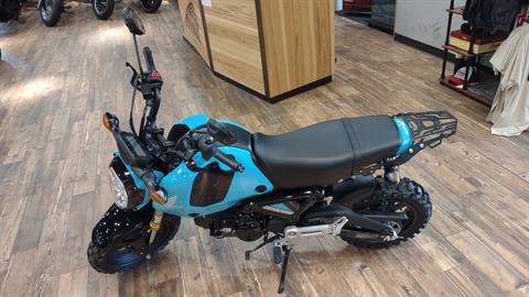 2024 Honda Grom in Mineral Wells, West Virginia