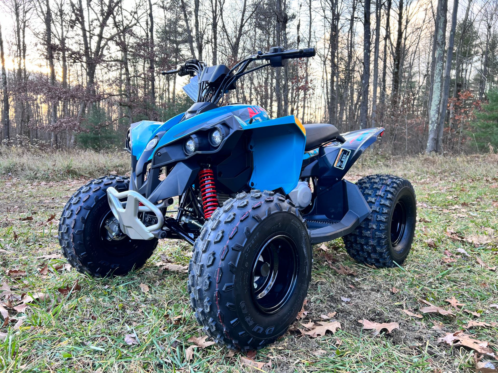 2024 Can-Am Renegade 110 EFI in Rockton, Pennsylvania - Photo 1