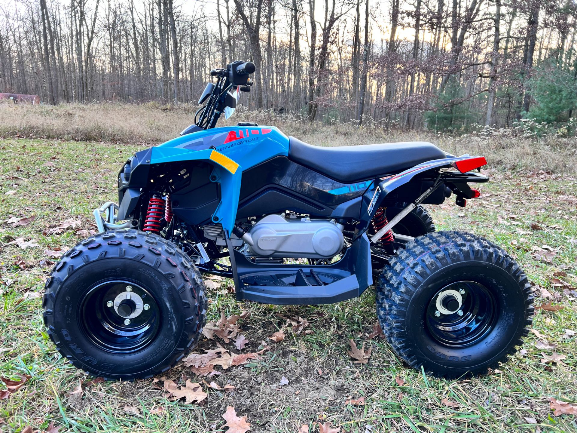 2024 Can-Am Renegade 110 EFI in Rockton, Pennsylvania - Photo 4