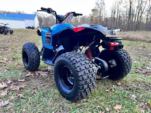 2024 Can-Am Renegade 110 EFI in Rockton, Pennsylvania - Photo 6