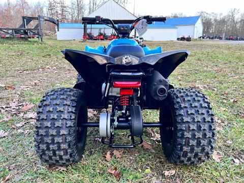 2024 Can-Am Renegade 110 EFI in Rockton, Pennsylvania - Photo 7