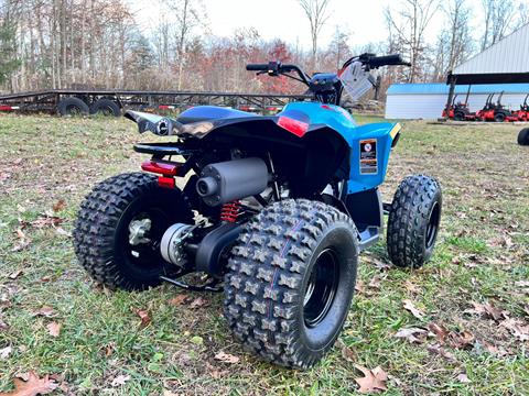 2024 Can-Am Renegade 110 EFI in Rockton, Pennsylvania - Photo 9