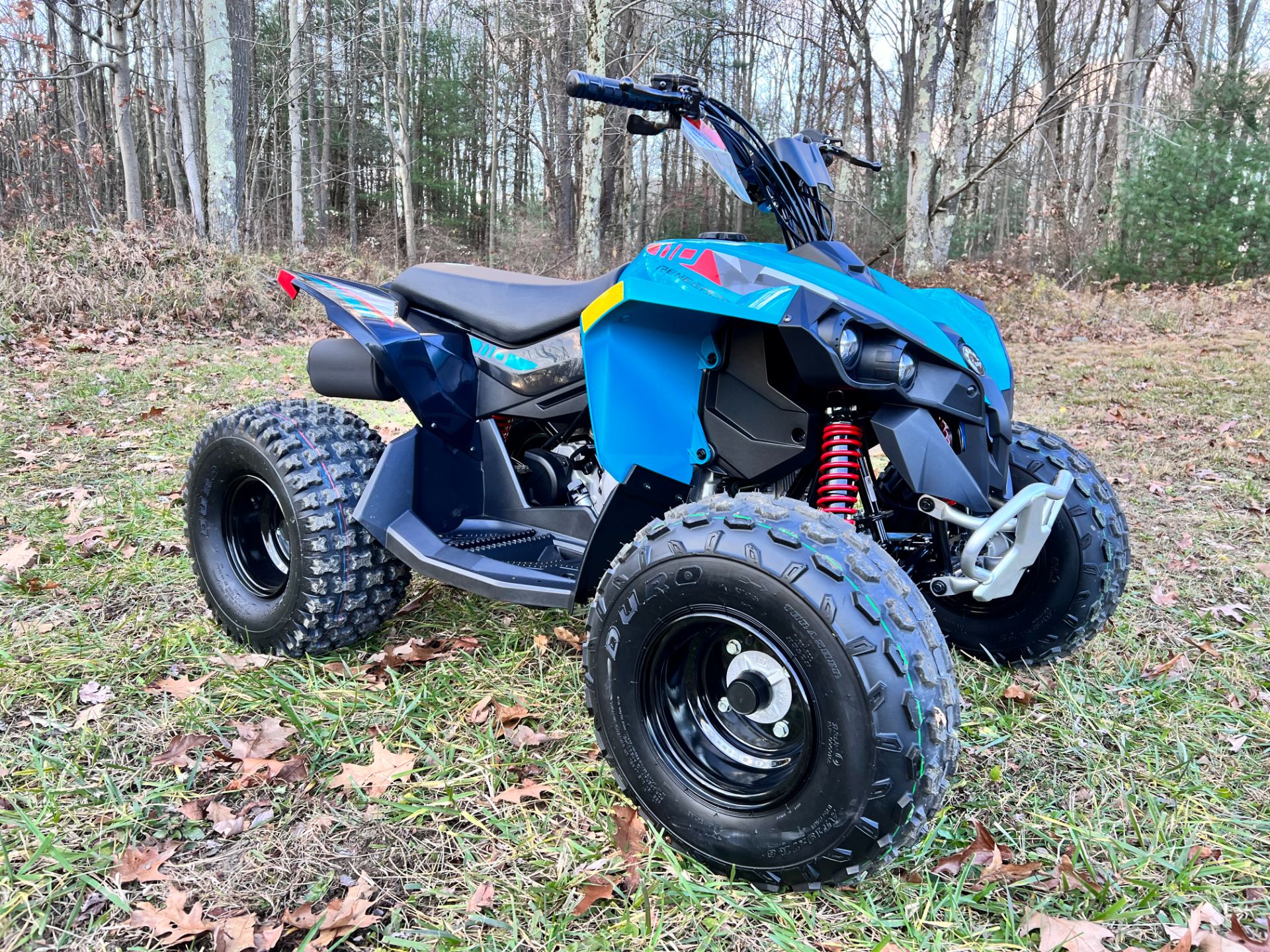 2024 Can-Am Renegade 110 EFI in Rockton, Pennsylvania - Photo 11