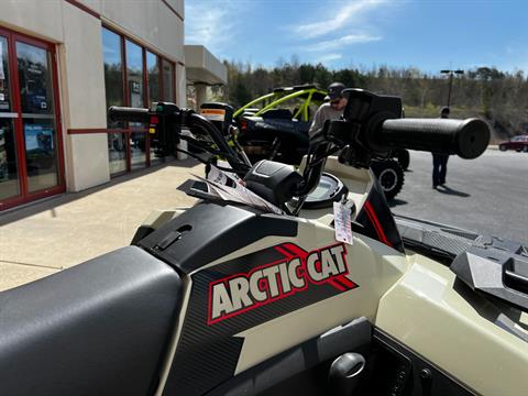 2023 Arctic Cat Alterra 600 LTD in Clearfield, Pennsylvania - Photo 11