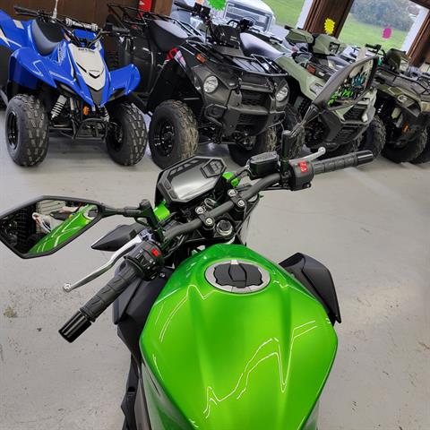 2024 Kawasaki Z500 ABS in Annville, Pennsylvania - Photo 5
