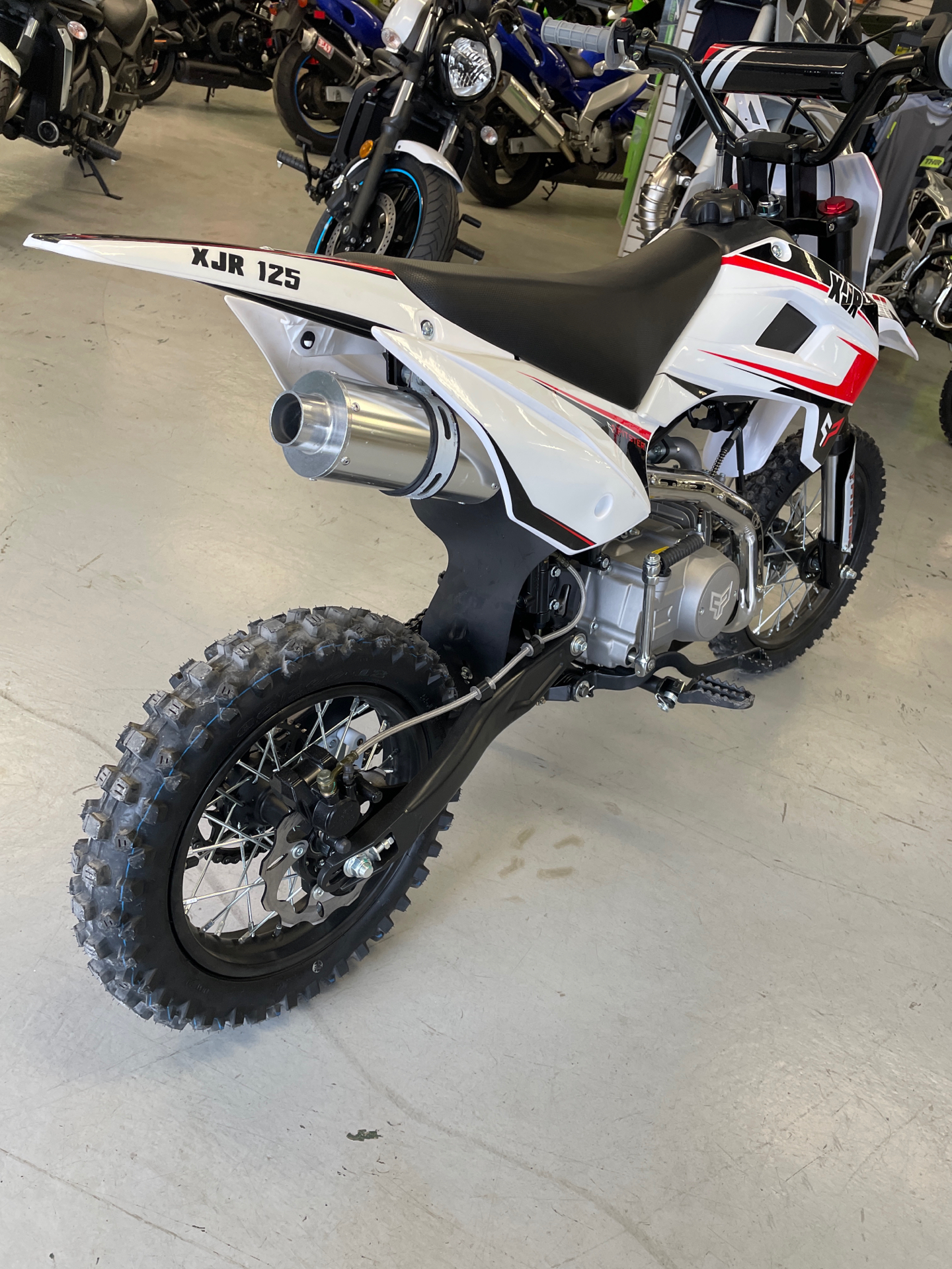2021 Pitster Pro XJR125 MANUAL in Annville, Pennsylvania - Photo 5