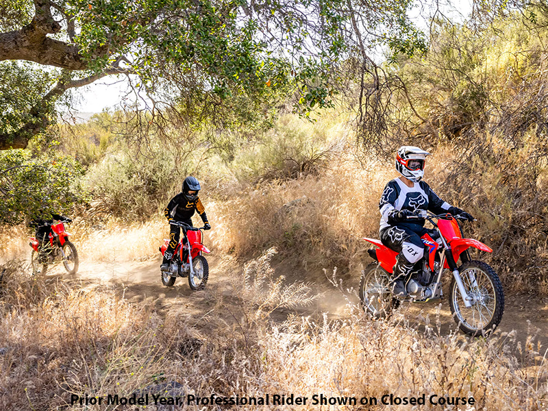 2024 Honda CRF125F - Big Wheel in Bessemer, Alabama - Photo 9