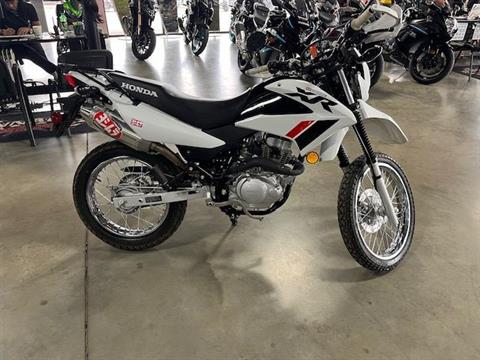 2023 Honda XR150L in Bessemer, Alabama - Photo 1