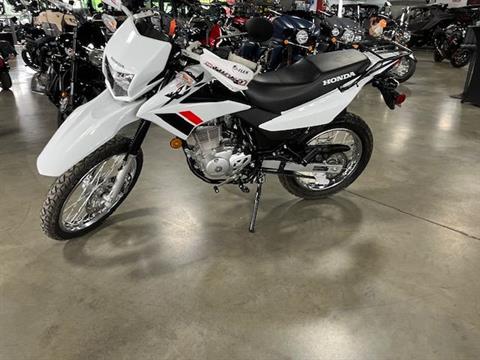 2023 Honda XR150L in Bessemer, Alabama - Photo 5