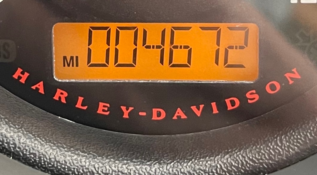 2019 Harley-Davidson Iron 883™ in Fredericksburg, Virginia - Photo 23