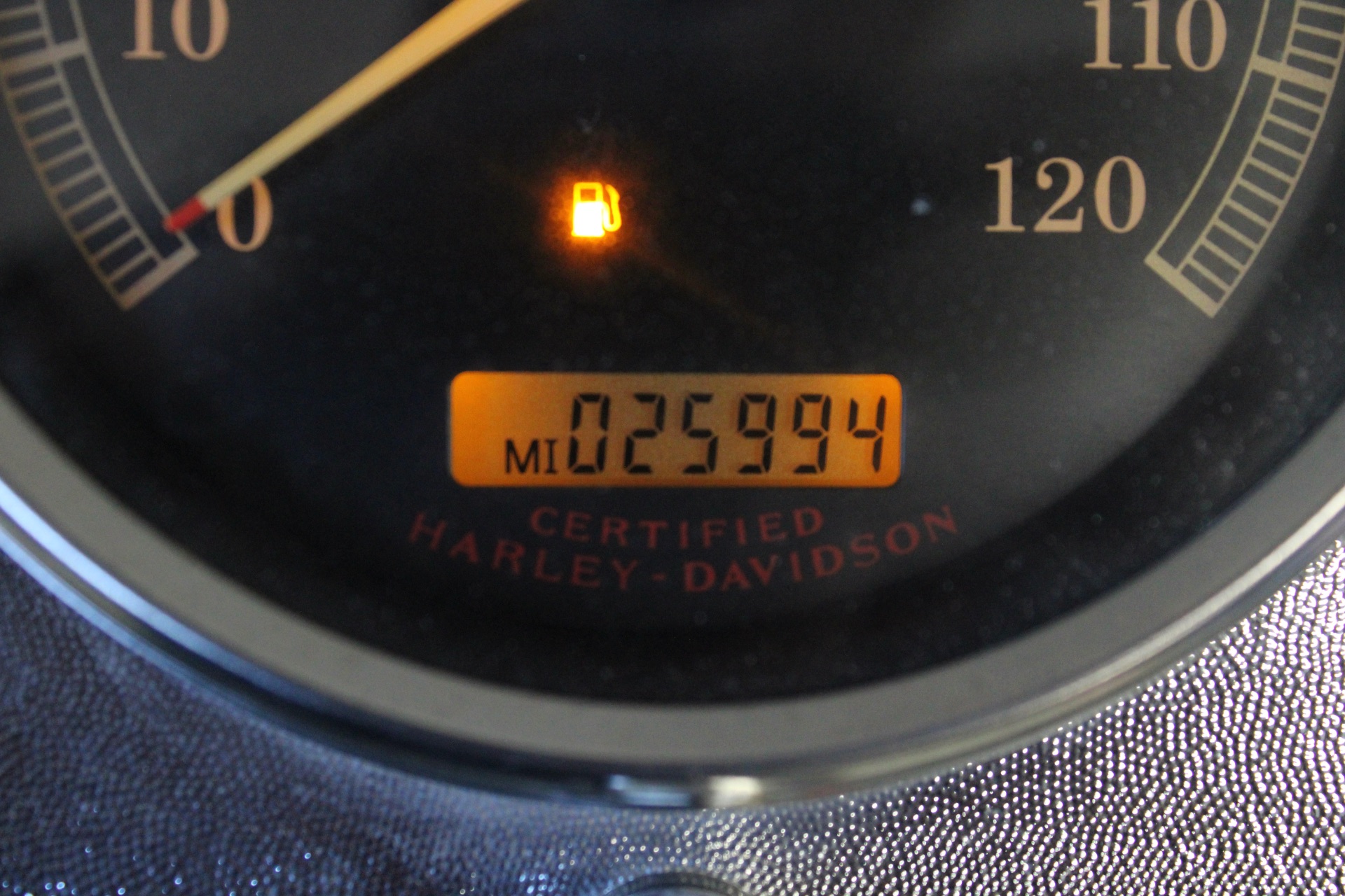 2006 Harley-Davidson Softail® Standard in Fredericksburg, Virginia - Photo 23
