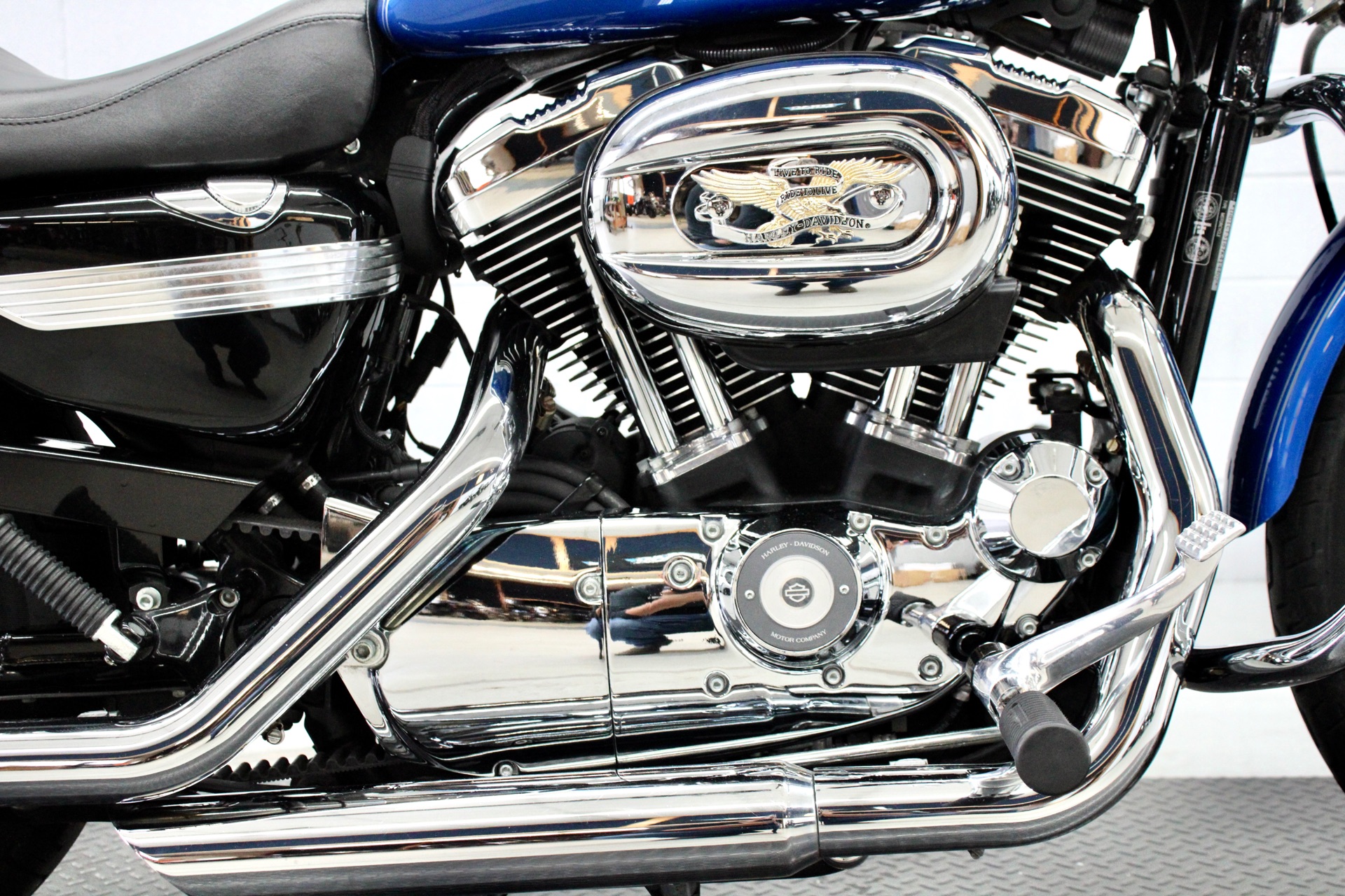 2007 Harley-Davidson Sportster® 1200 Custom in Fredericksburg, Virginia - Photo 14