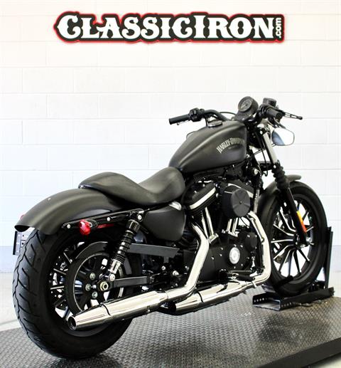 2014 Harley-Davidson Sportster® Iron 883™ in Fredericksburg, Virginia - Photo 5